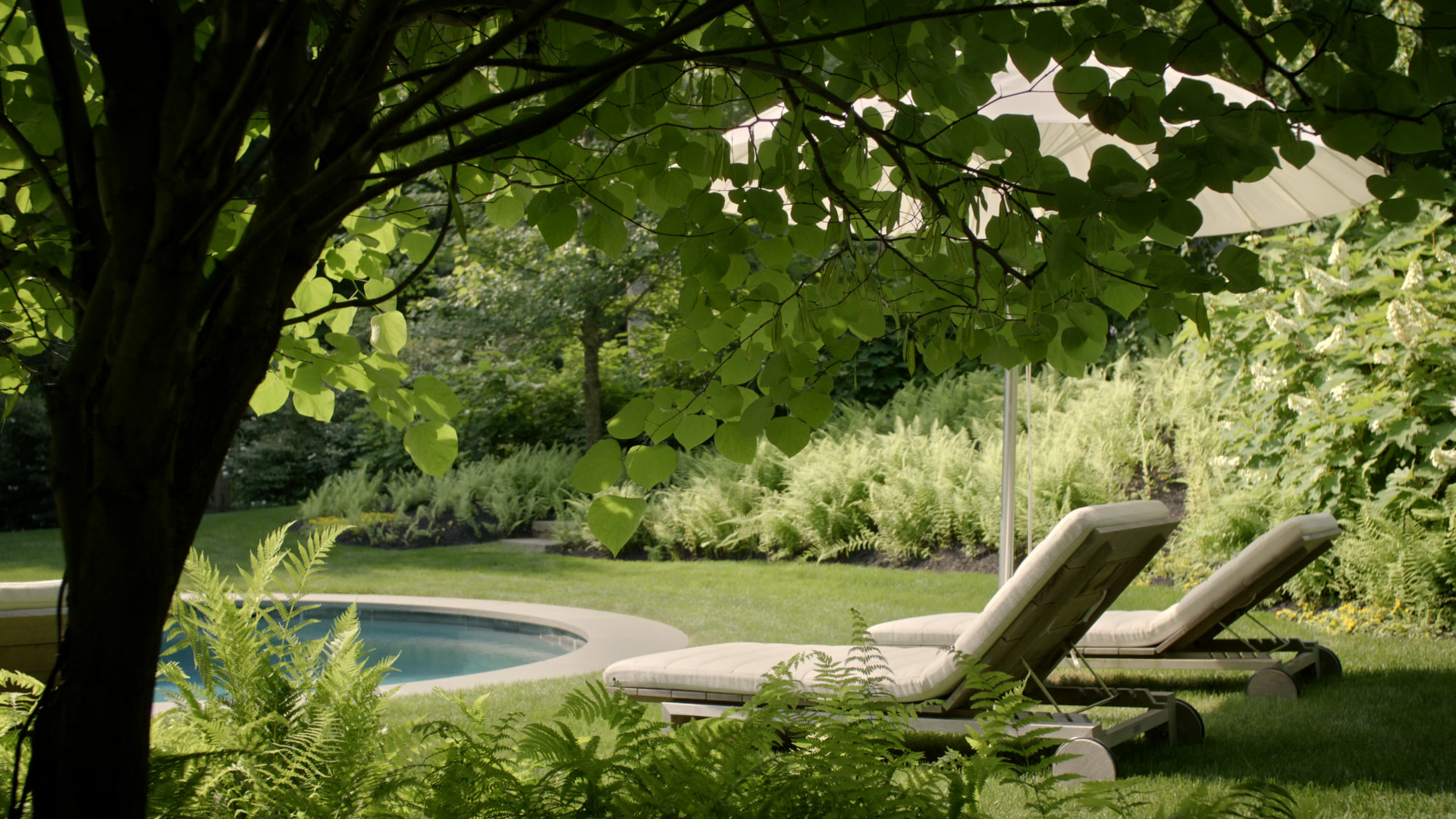 Bedford Quarry — Sun loungers and parasol beside the pool beneath a tree