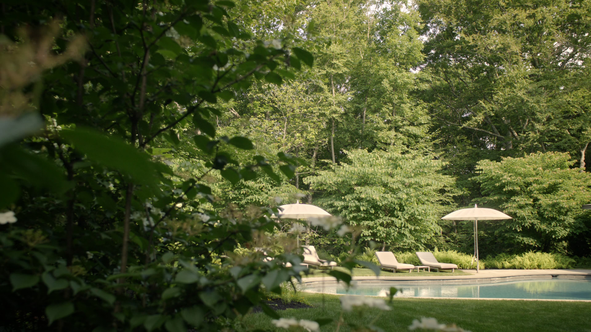Bedford Quarry — Pool and parasols seen through flowering branches