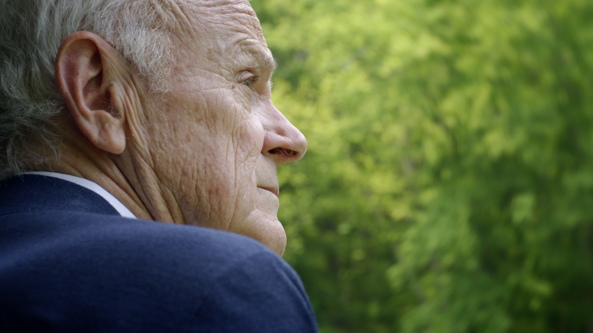 Bedford Quarry — Portrait of an elderly man against soft green foliage