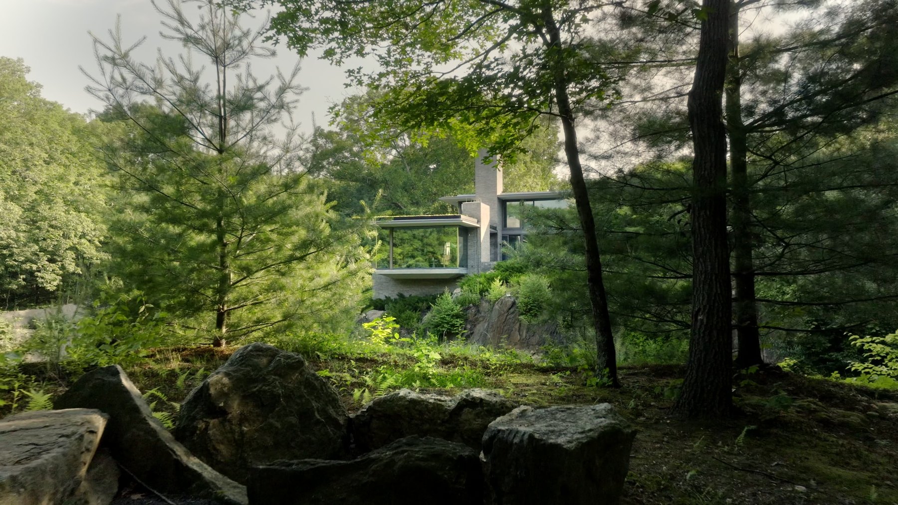 Bedford Quarry — the house glimpsed through the forest canopy