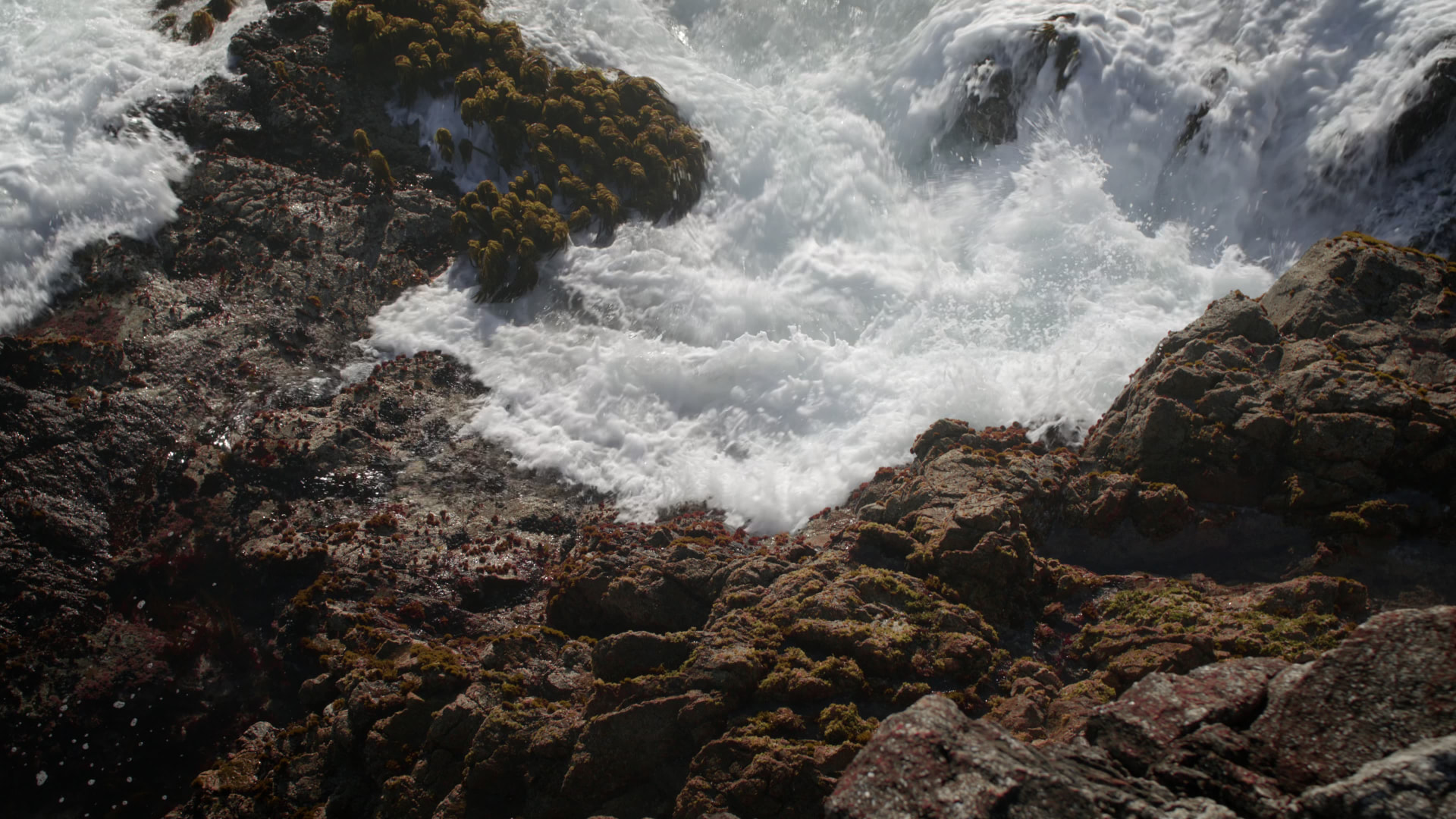 Big Sur House — project still 21