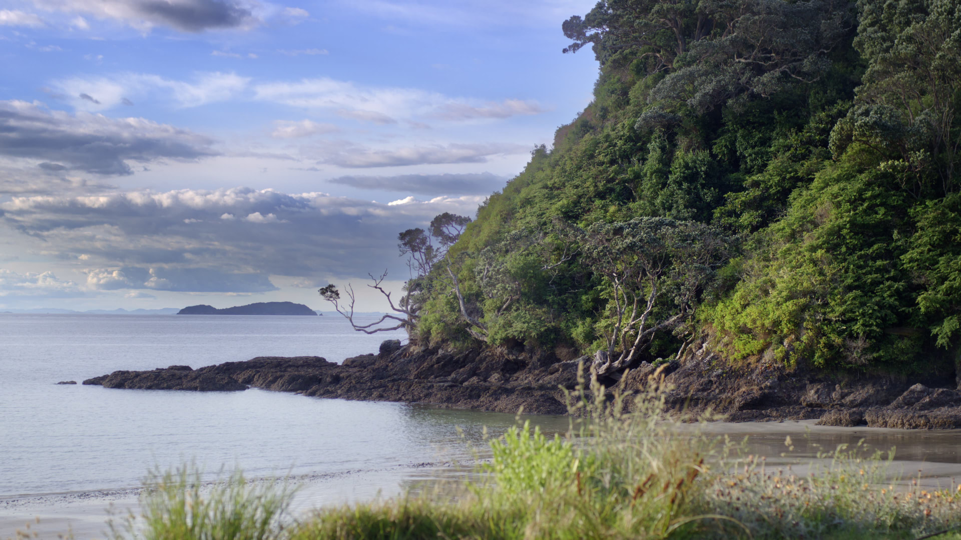 Boat Shed Bay House — project still 4
