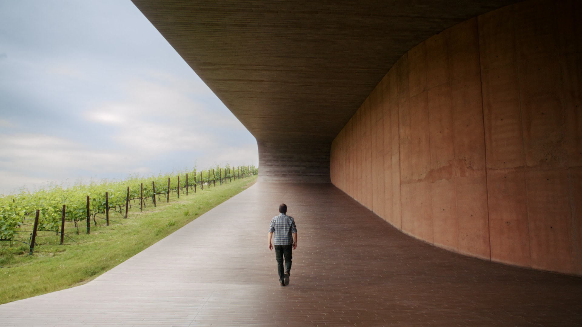 Cotto Manetti — project still 22