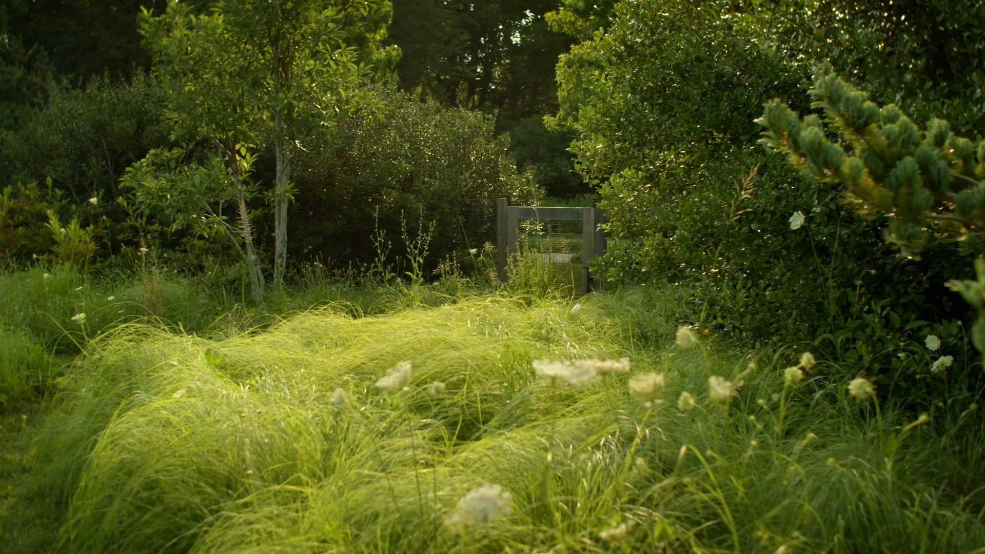East Hampton House — project still 11