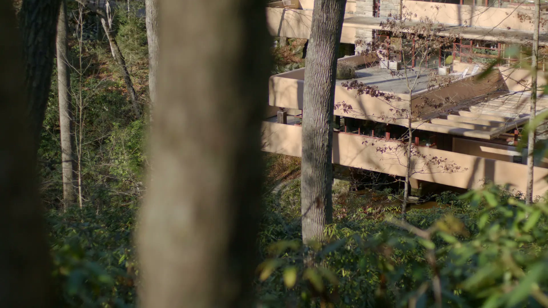 Fallingwater House — project still 15