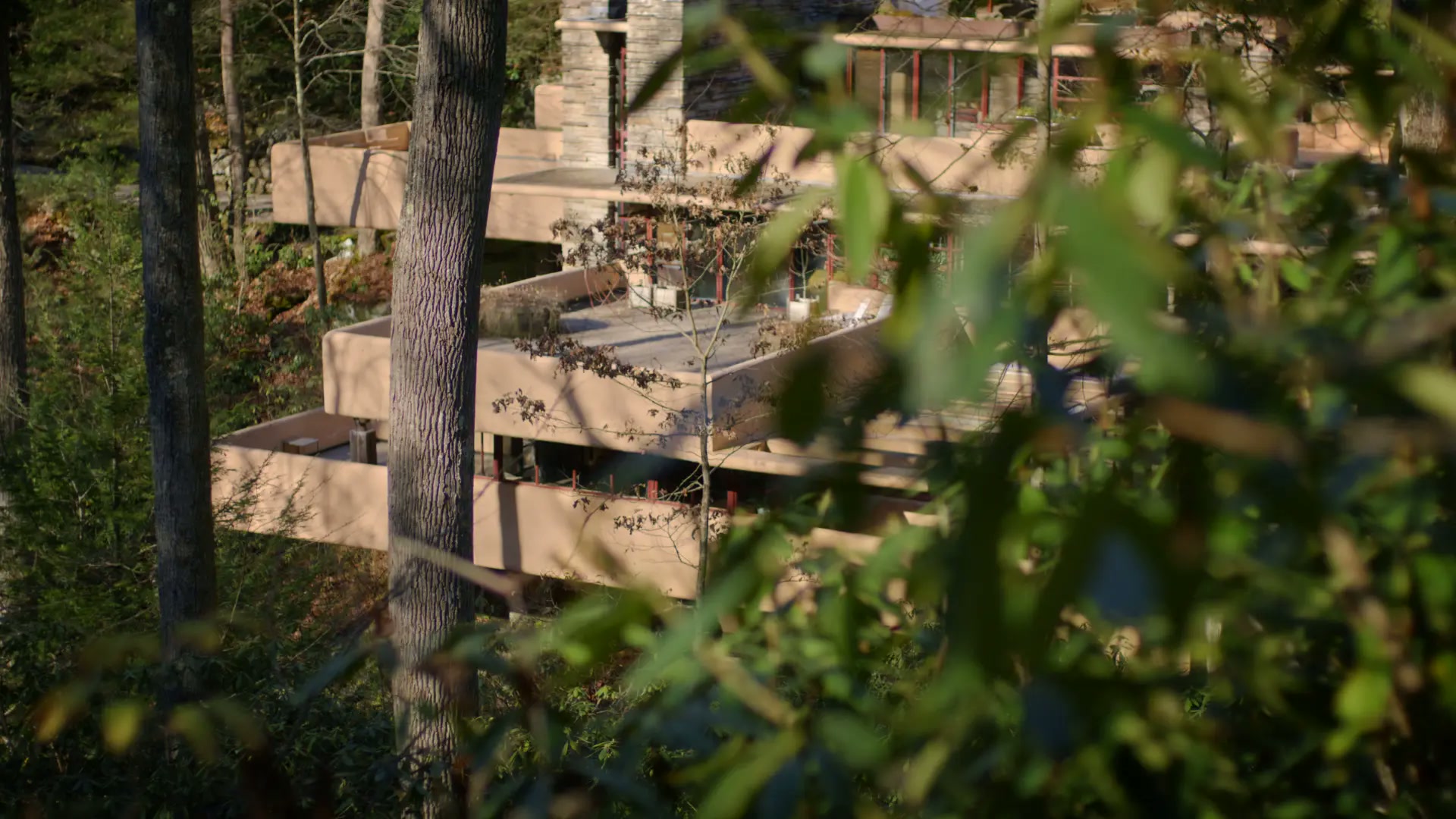 Fallingwater House — project still 3