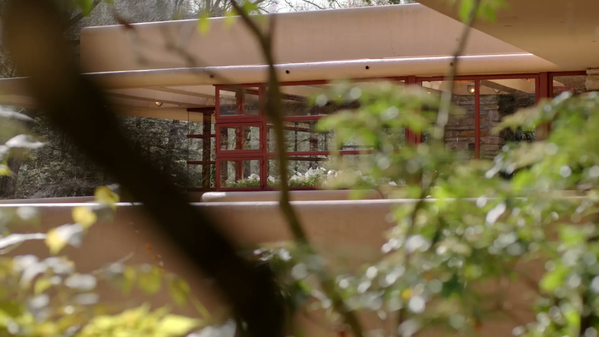 Fallingwater House — project still 4