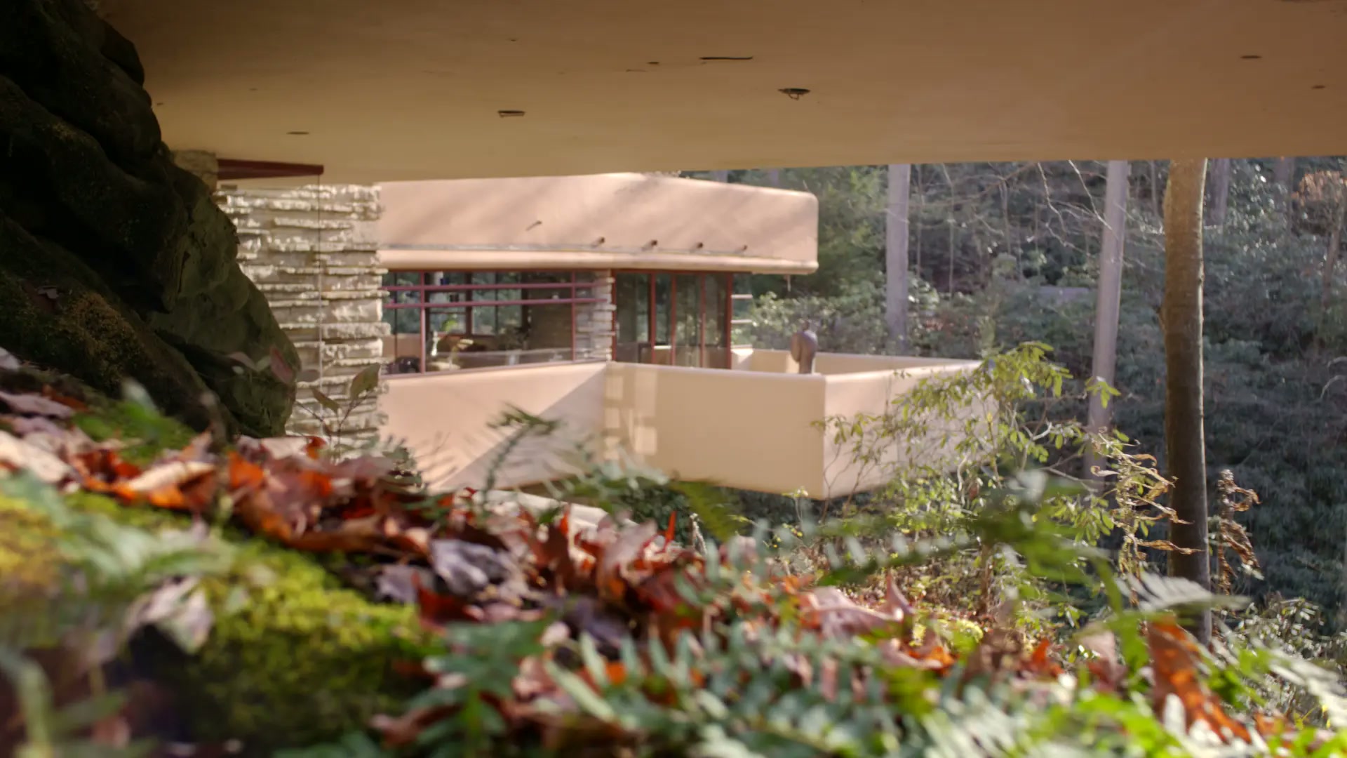 Fallingwater House — project still 7