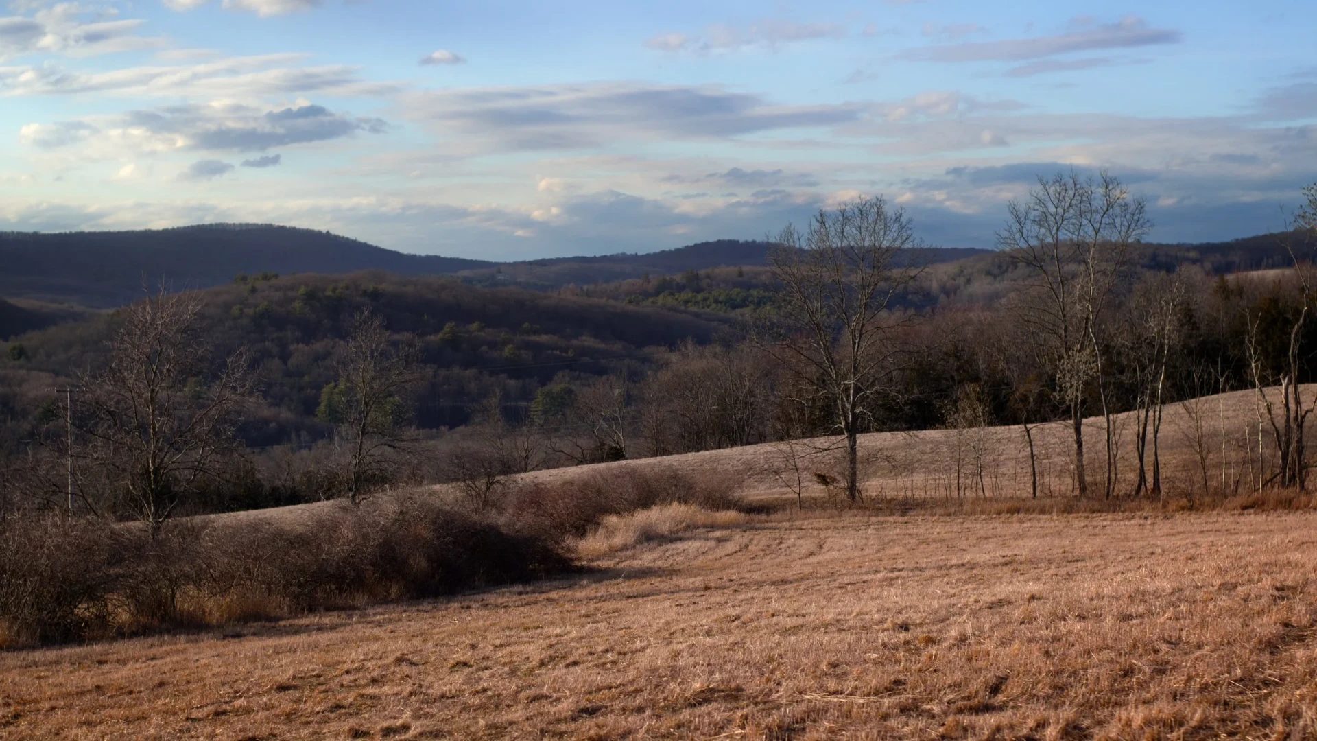 Gallatin Residence — project still 17