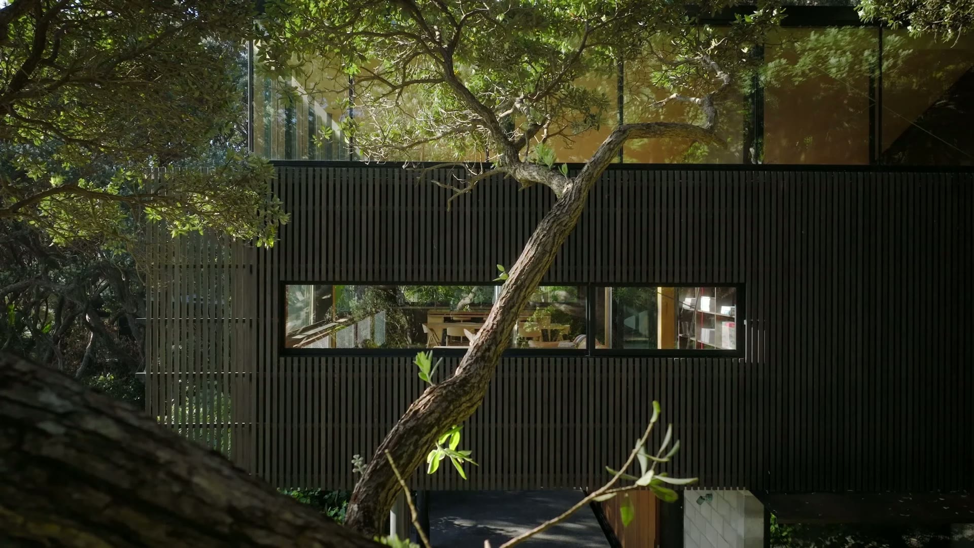 Kawa Kawa House — project still 17