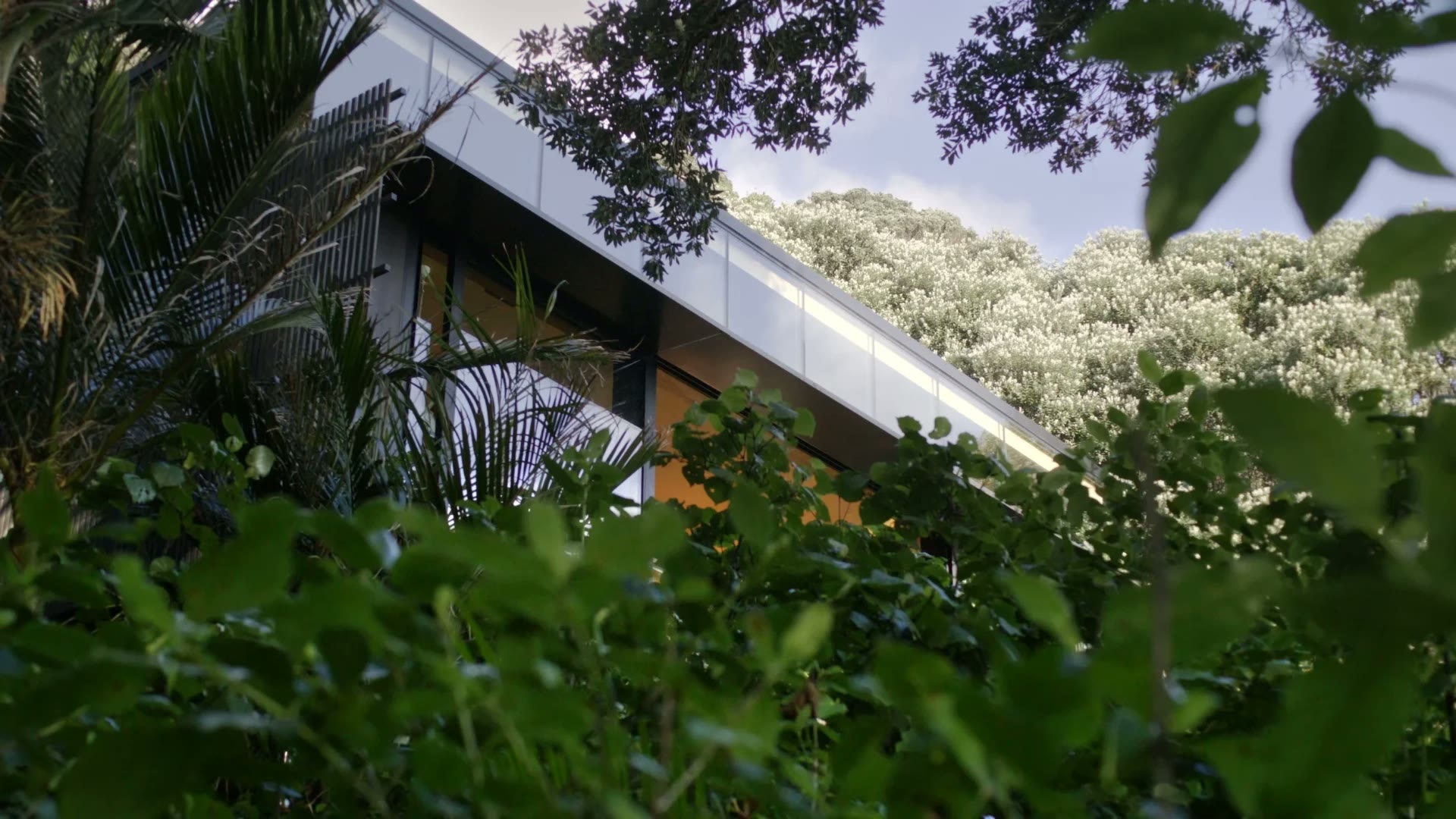 Kawa Kawa House — project still 7