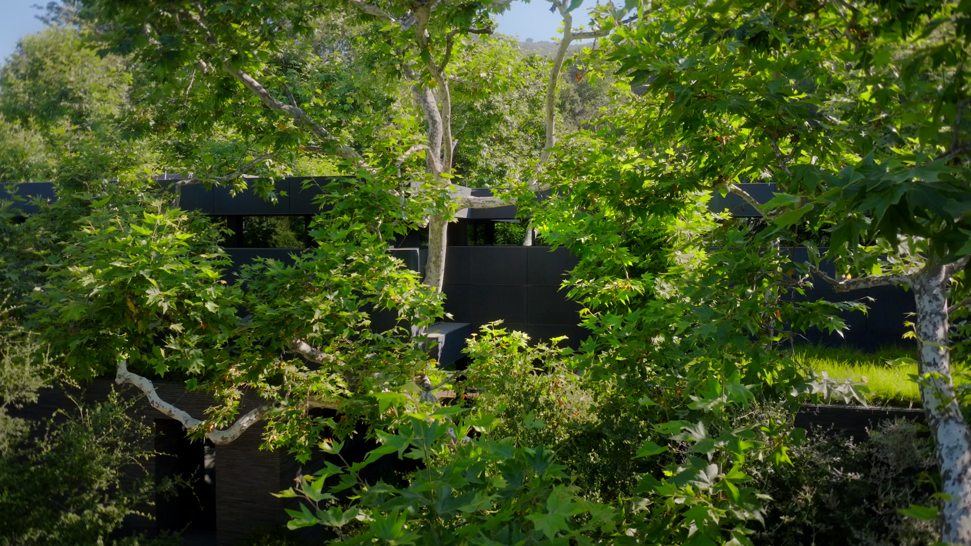 Mandeville Canyon — project still 13