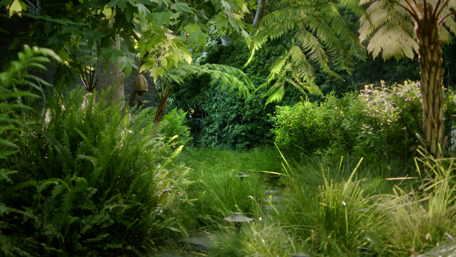 Mandeville Canyon — project still 20