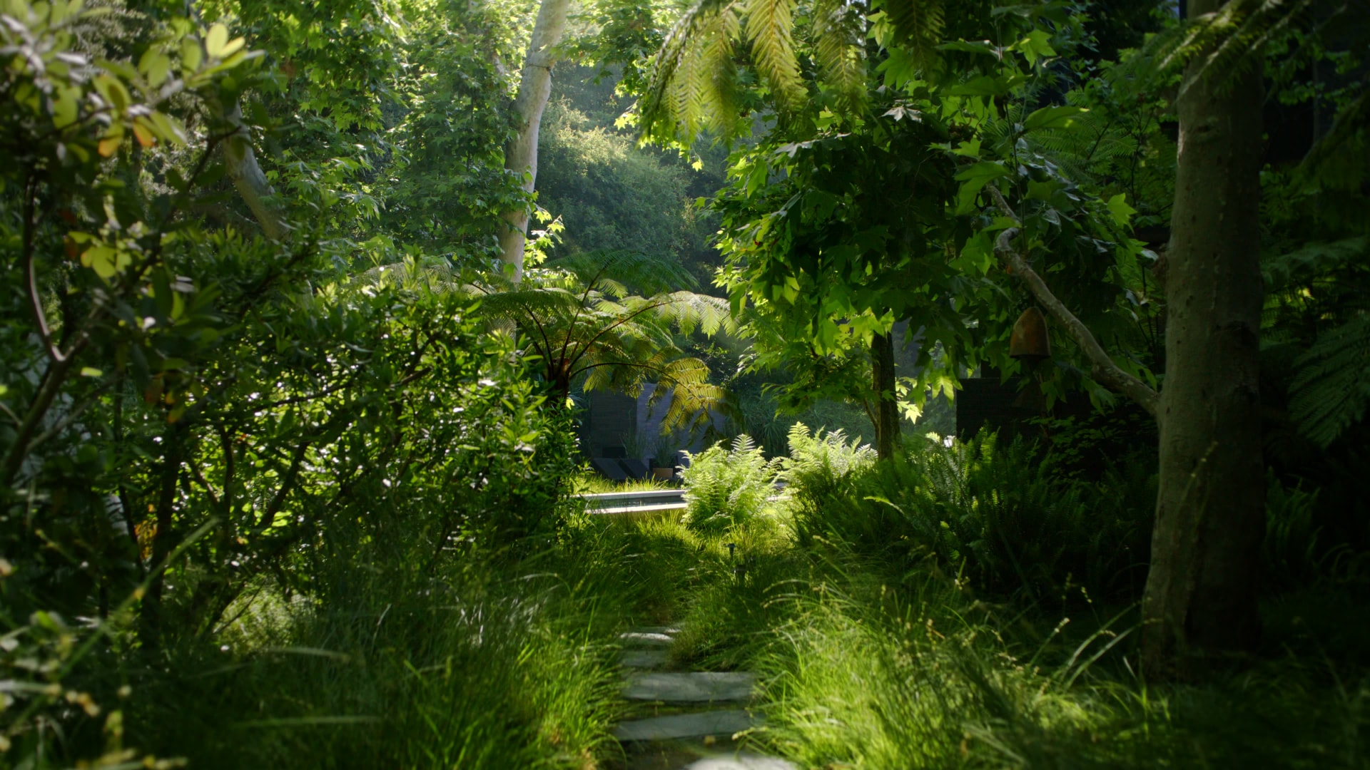 Mandeville Canyon — project still 7