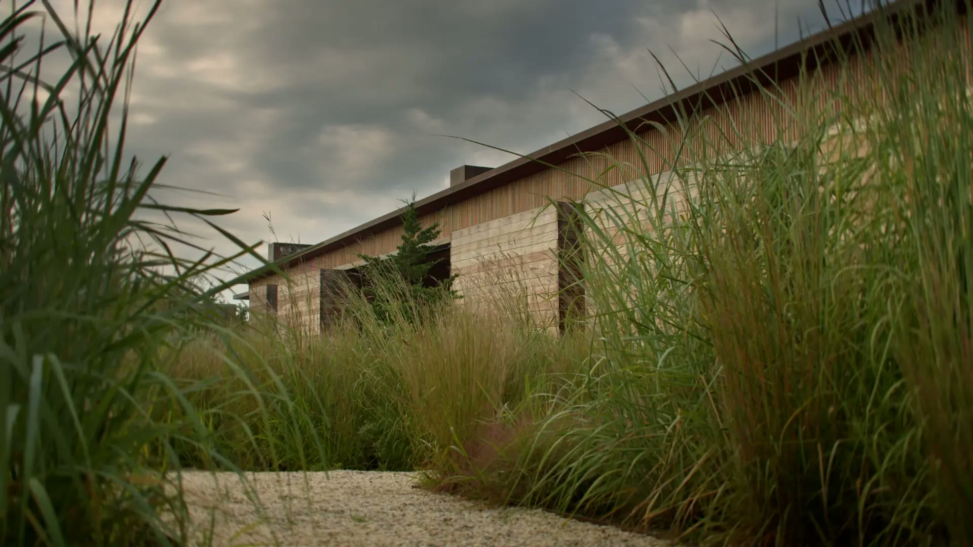 Morris Cove House — project still 19