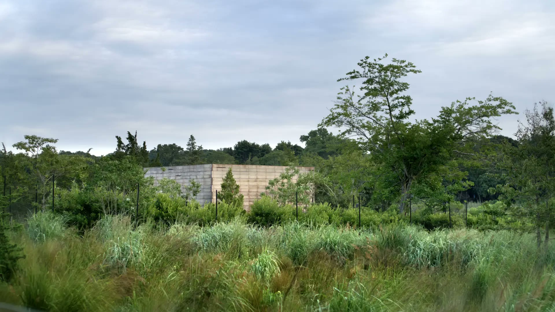 Morris Cove House — project still 6