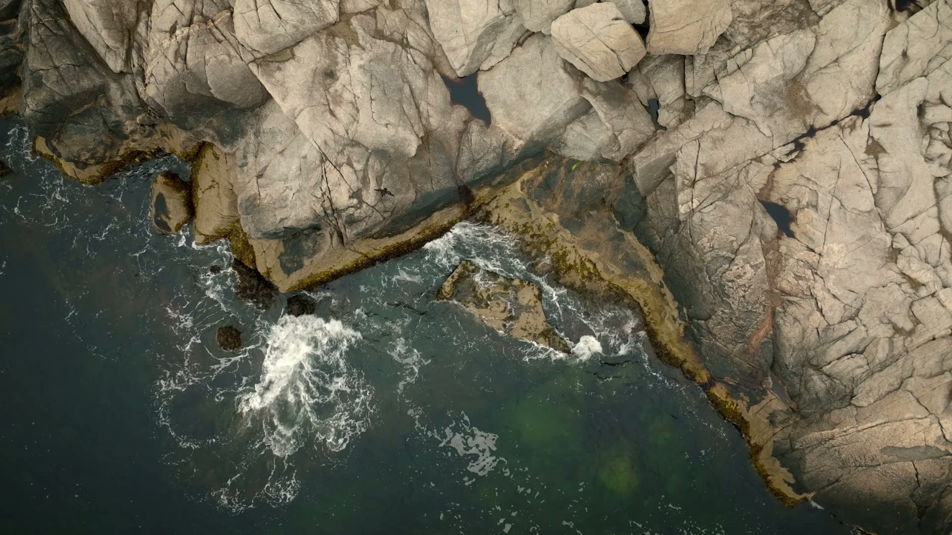 Rock Bound House — project still 2