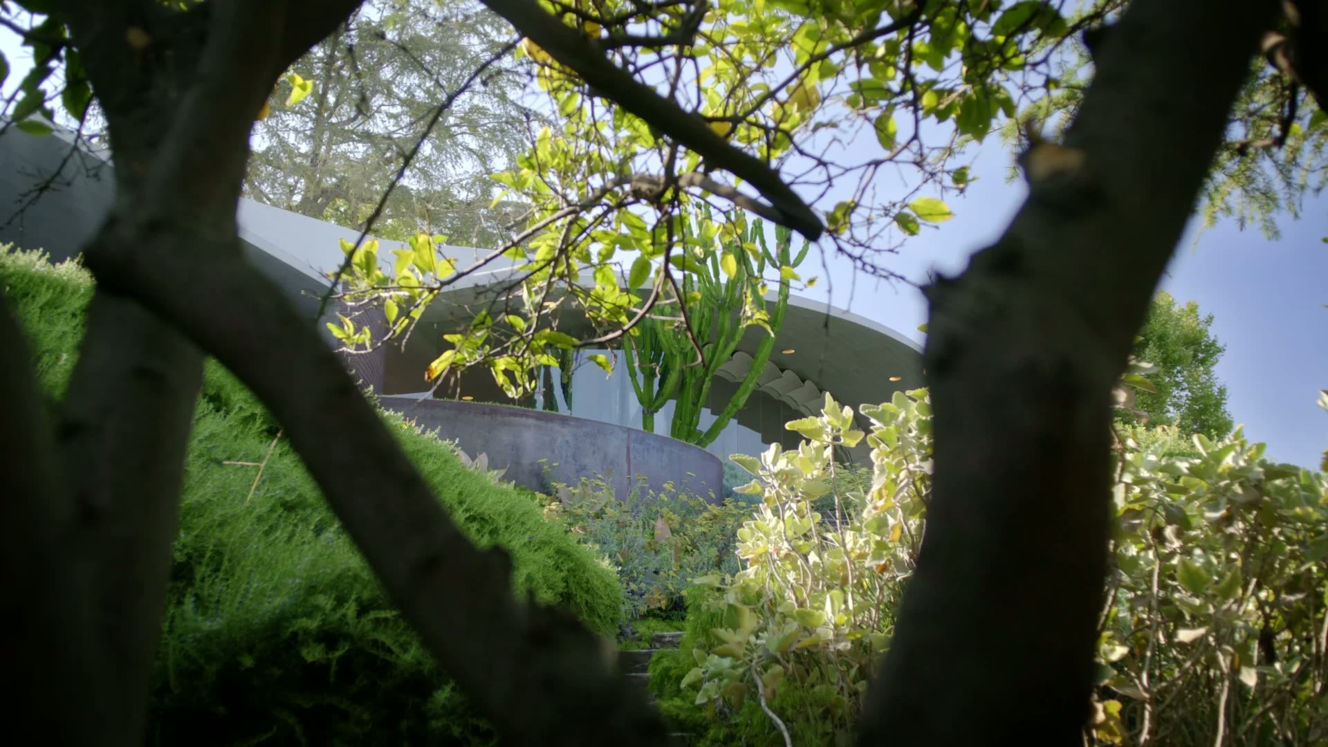 Silvertop House — project still 1