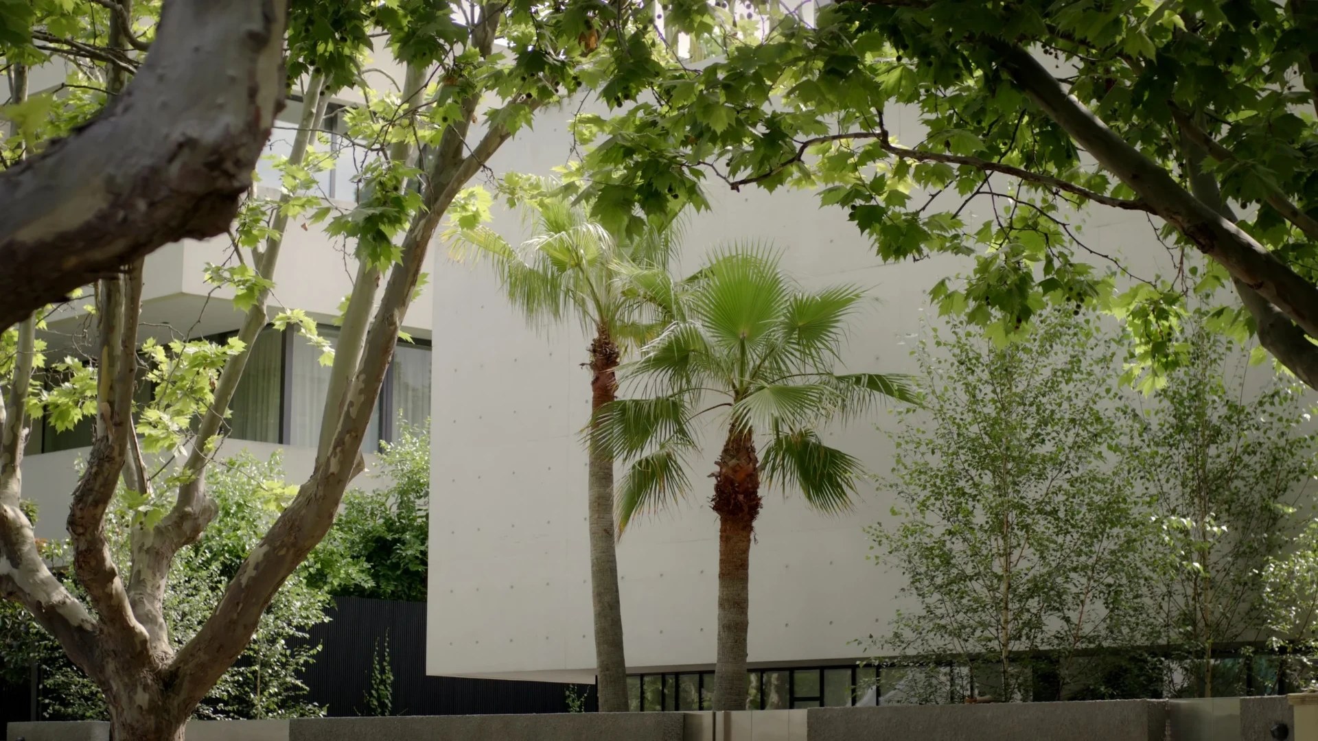 South Yarra House — project still 12
