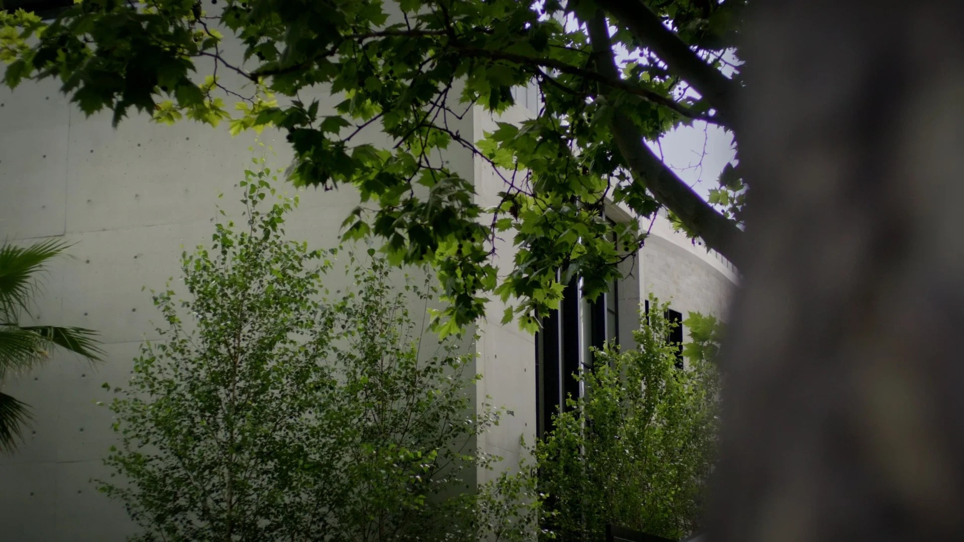 South Yarra House — project still 27