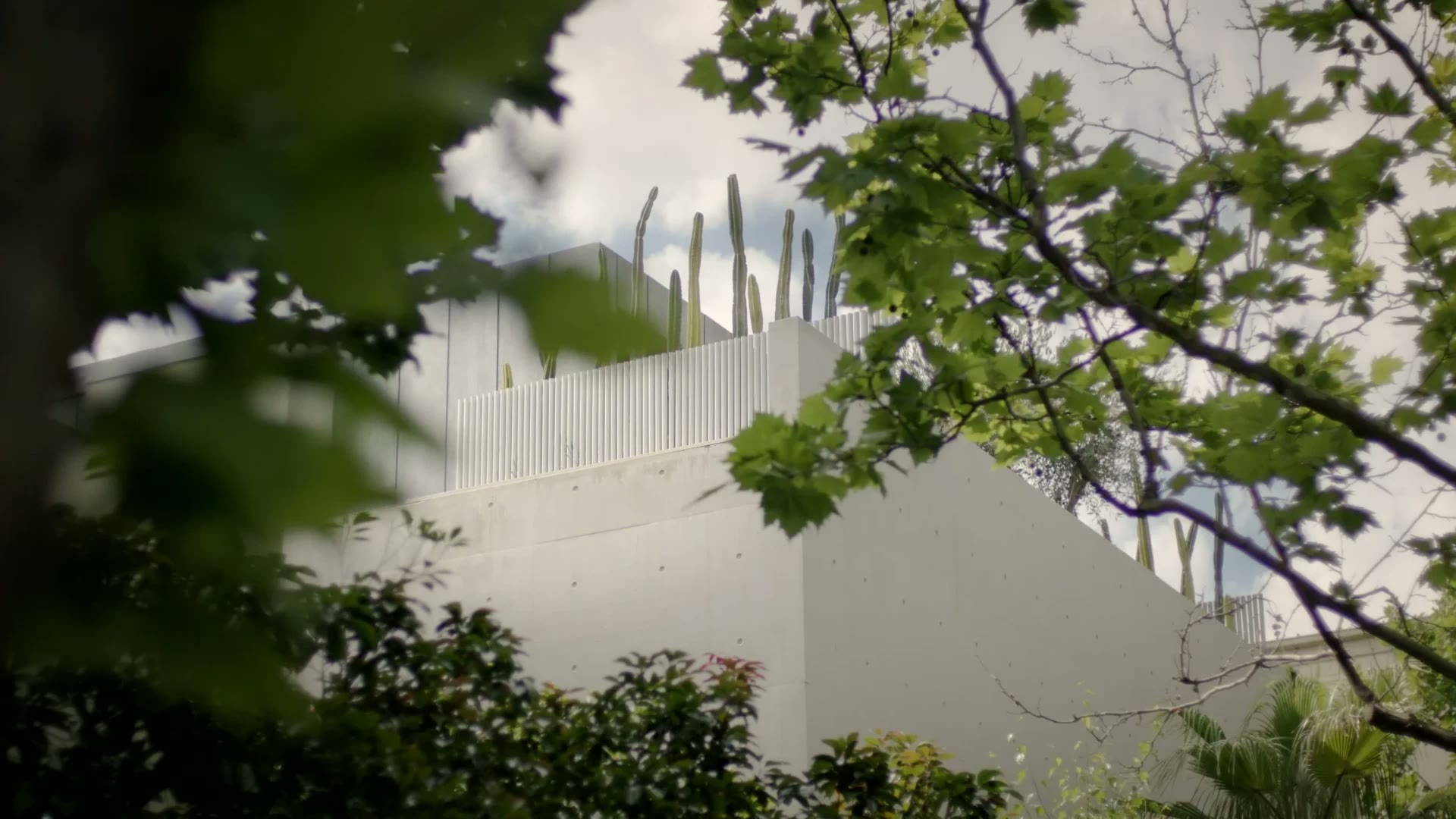 South Yarra House — project still 6