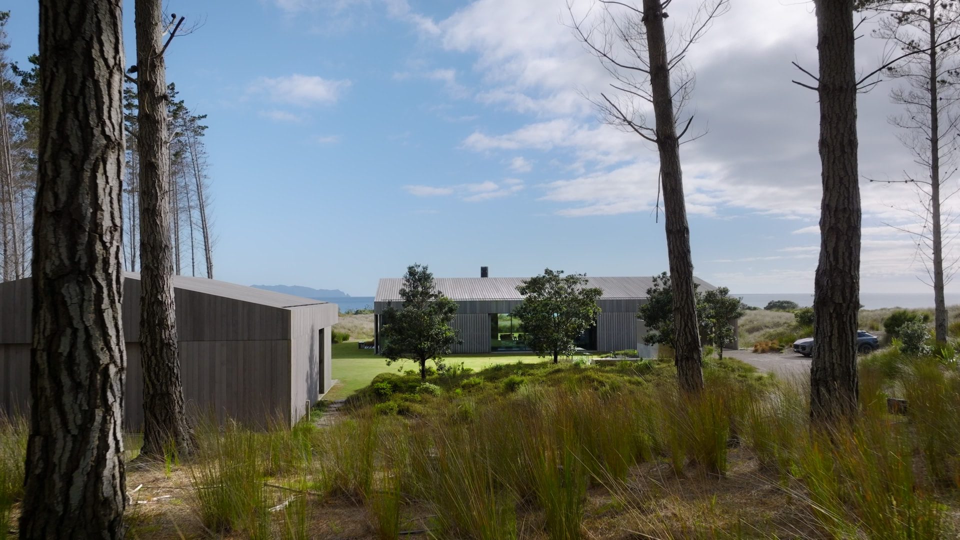 Te Arai Beach House — timber-clad pavilions seen through coastal pines, with the ocean beyond