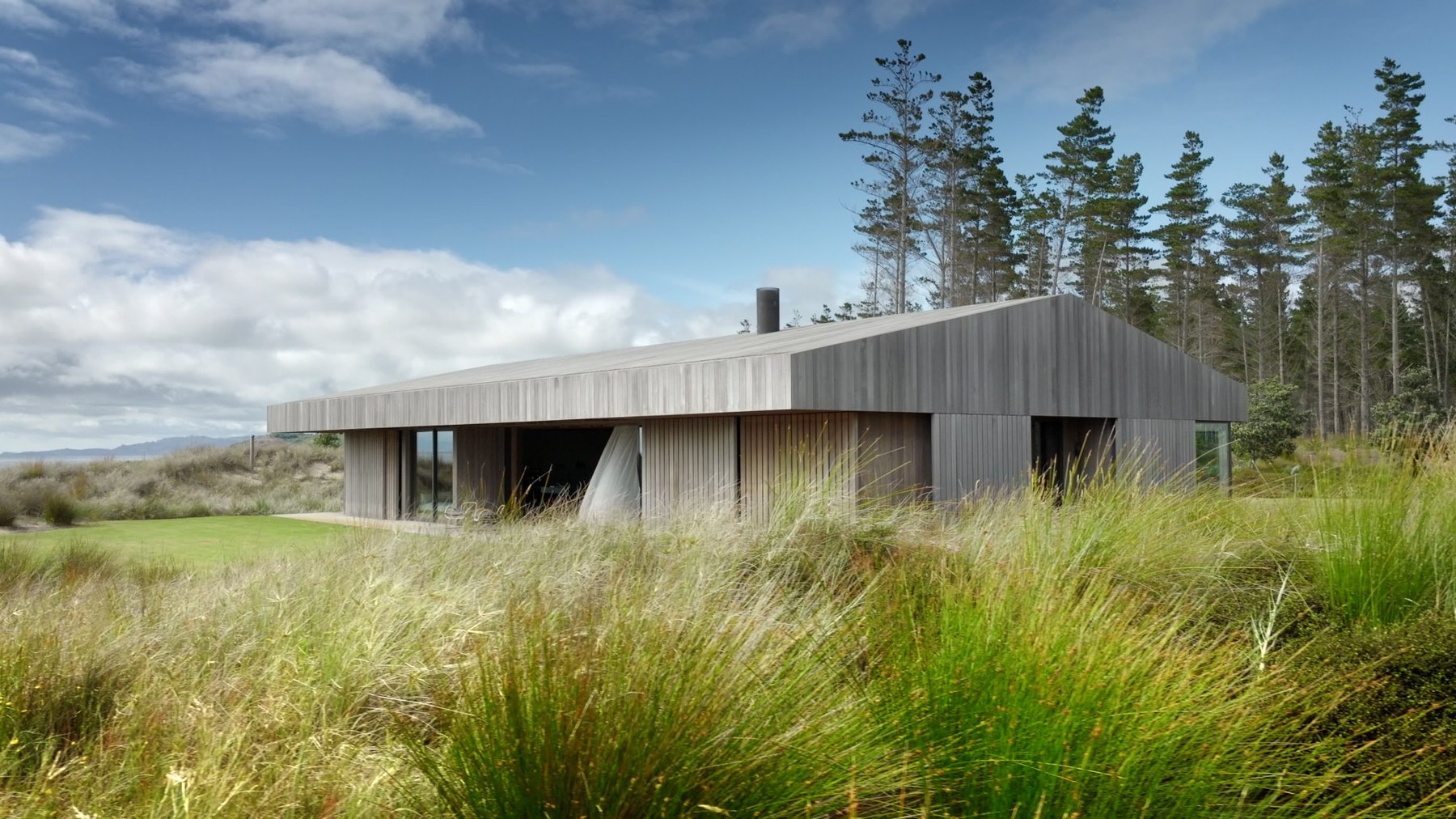 Timber-clad single-storey house behind dune grass and pines