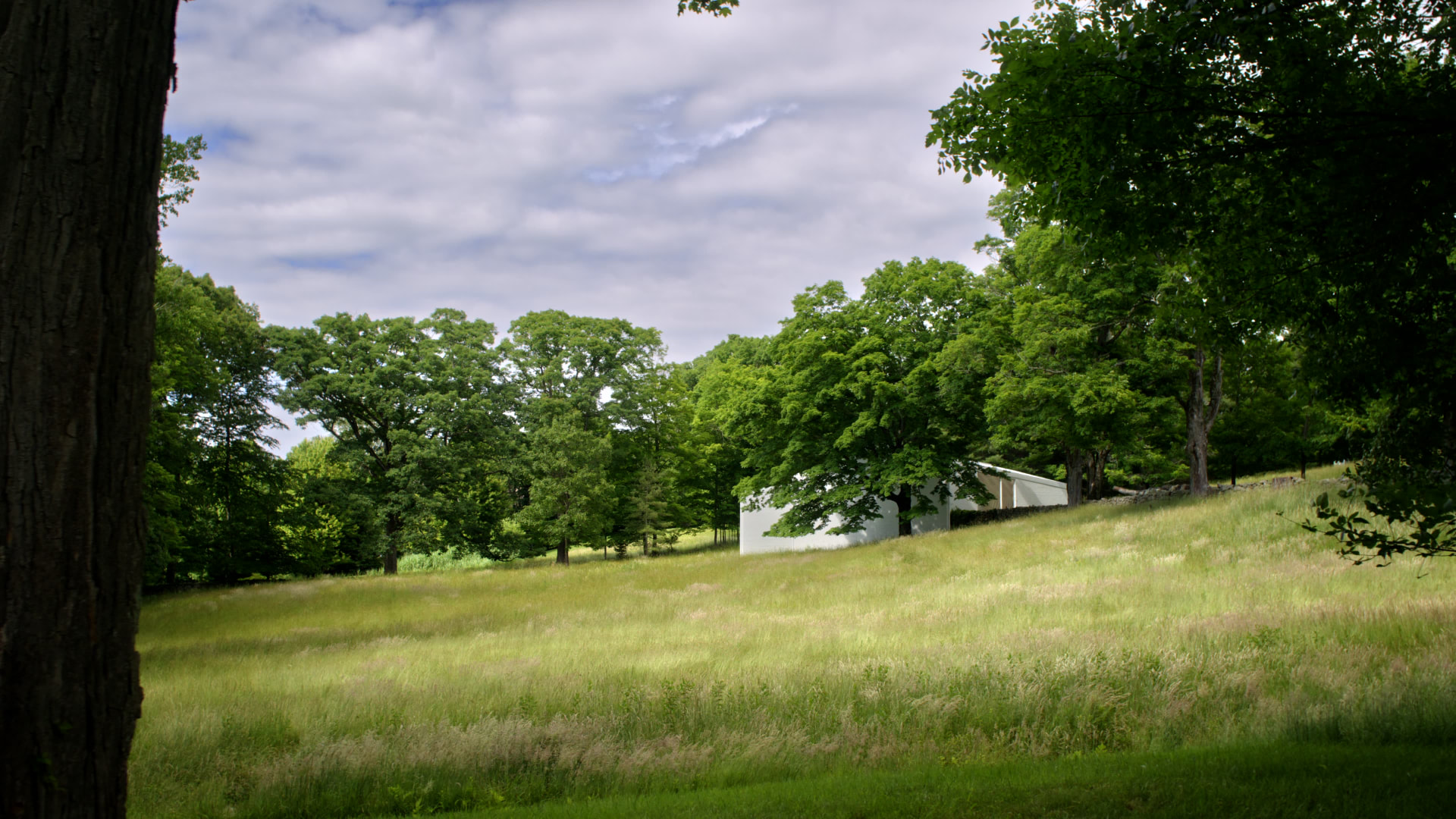 The Glass House — project still 11