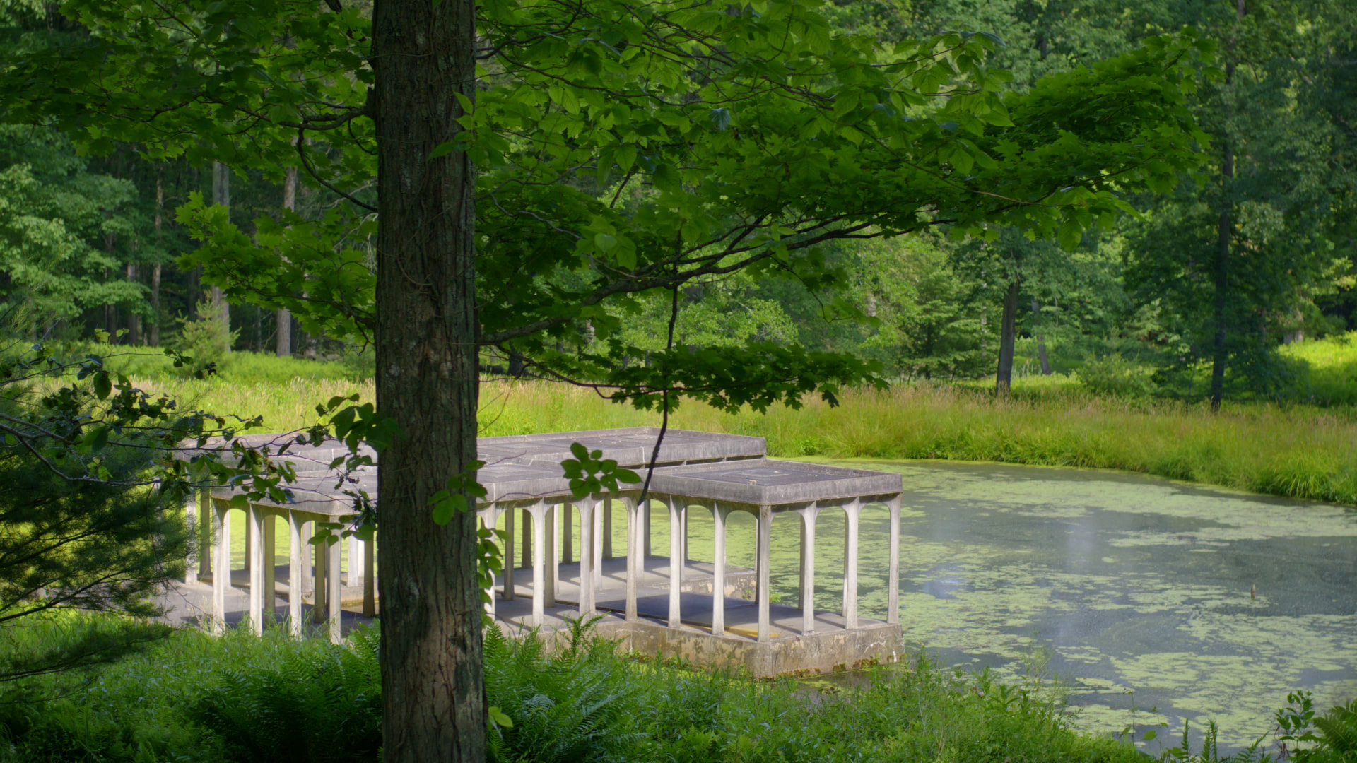 The Glass House — project still 24