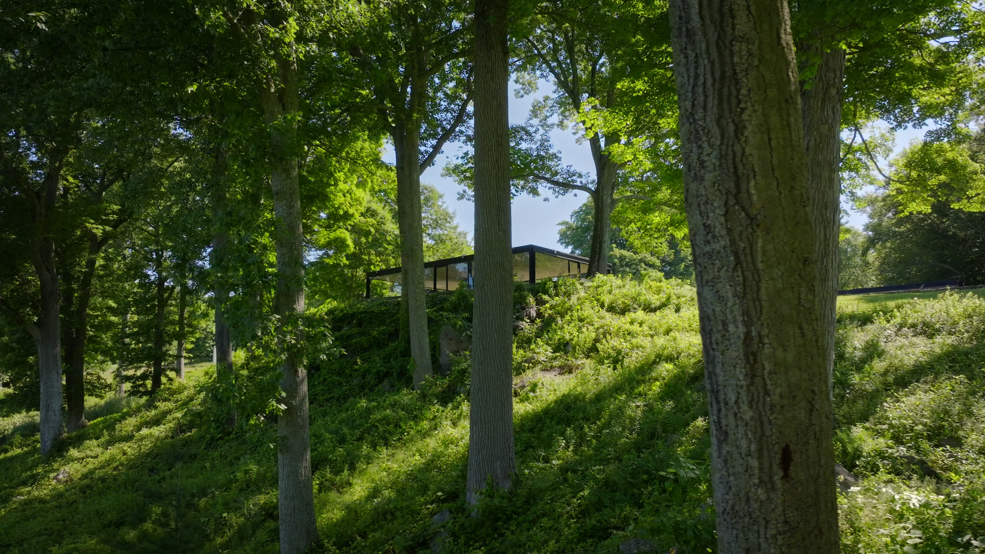 The Glass House — project still 6