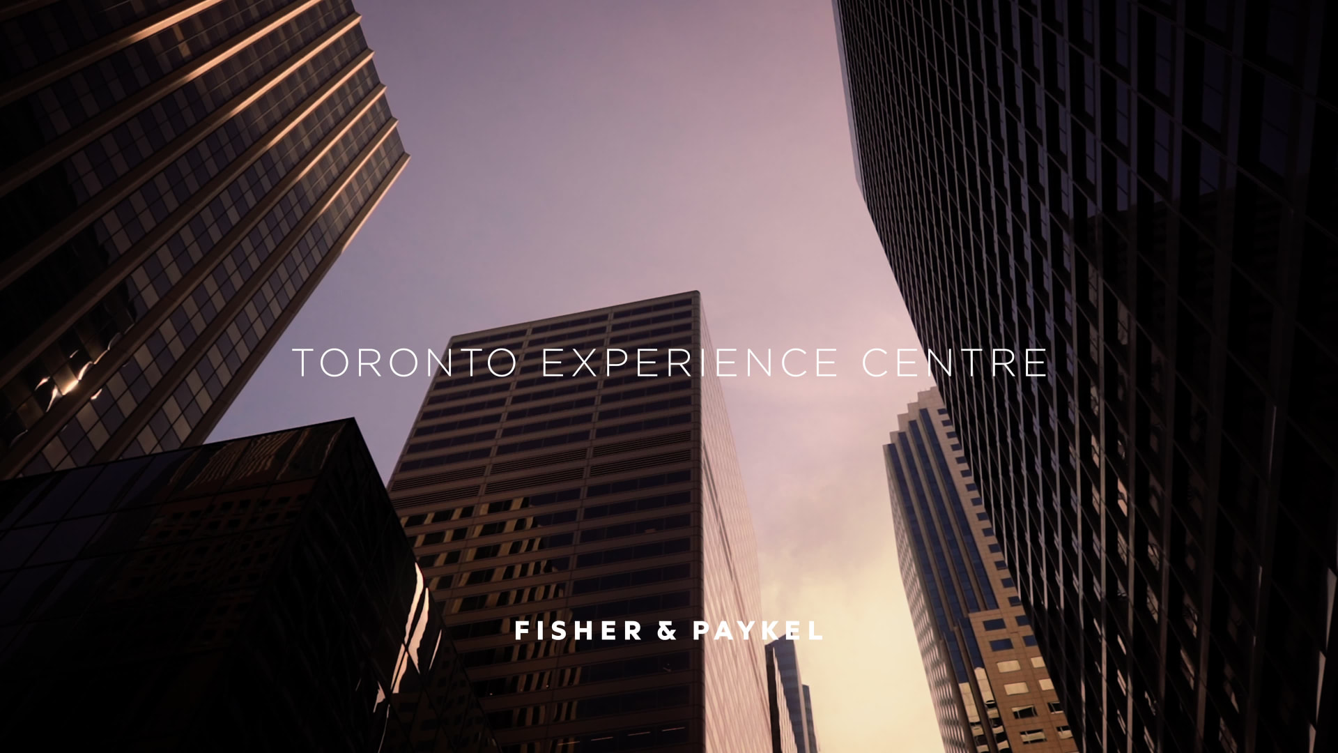 Toronto Experience Centre — project still 1